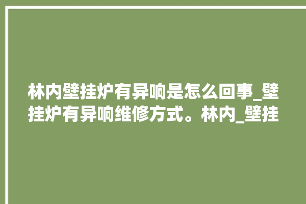 林内壁挂炉有异响是怎么回事_壁挂炉有异响维修方式。林内_壁挂炉