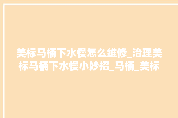 美标马桶下水慢怎么维修_治理美标马桶下水慢小妙招_马桶_美标