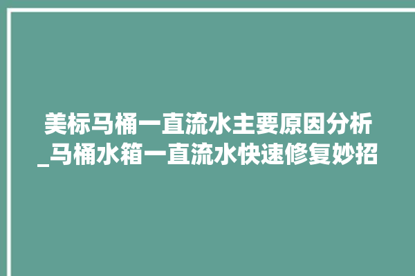 美标马桶一直流水主要原因分析_马桶水箱一直流水快速修复妙招马桶_流水