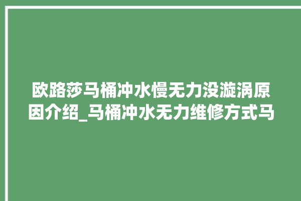 欧路莎马桶冲水慢无力没漩涡原因介绍_马桶冲水无力维修方式马桶_无力