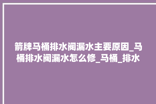 箭牌马桶排水阀漏水主要原因_马桶排水阀漏水怎么修_马桶_排水阀