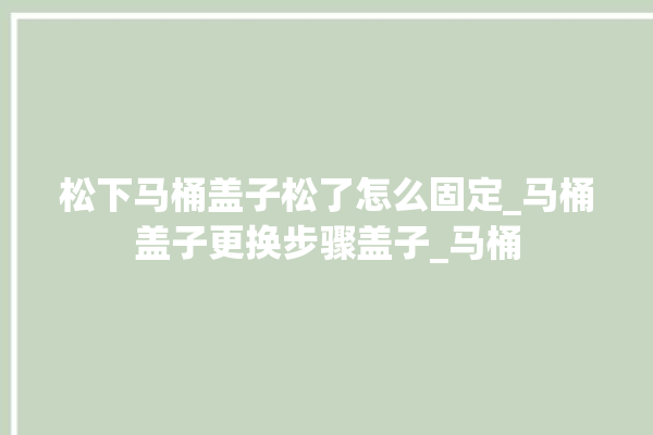 松下马桶盖子松了怎么固定_马桶盖子更换步骤盖子_马桶