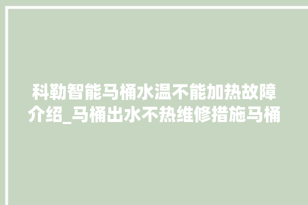 科勒智能马桶水温不能加热故障介绍_马桶出水不热维修措施马桶_水温