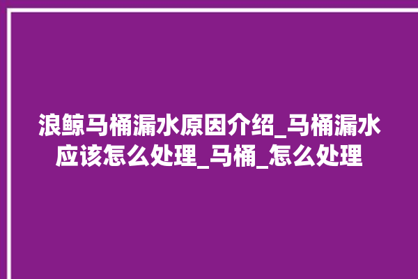 浪鲸马桶漏水原因介绍_马桶漏水应该怎么处理_马桶_怎么处理