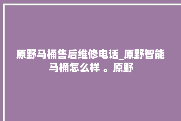 原野马桶售后维修电话_原野智能马桶怎么样 。原野