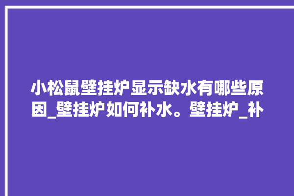 小松鼠壁挂炉显示缺水有哪些原因_壁挂炉如何补水。壁挂炉_补水