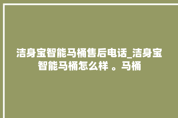 洁身宝智能马桶售后电话_洁身宝智能马桶怎么样 。马桶