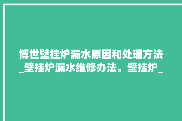 博世壁挂炉漏水原因和处理方法_壁挂炉漏水维修办法。壁挂炉_博世