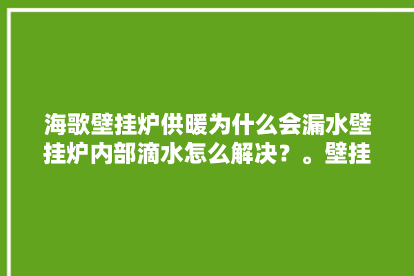 海歌壁挂炉供暖为什么会漏水壁挂炉内部滴水怎么解决？。壁挂炉