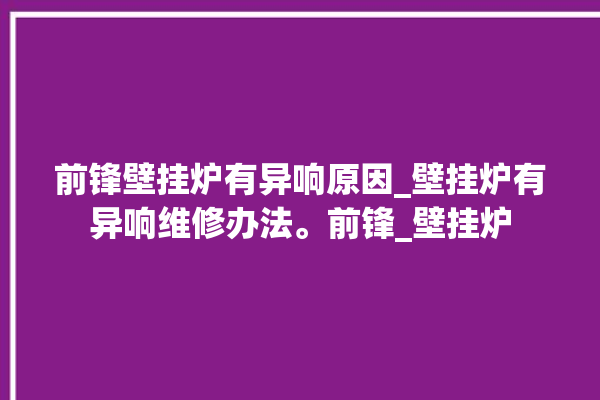 前锋壁挂炉有异响原因_壁挂炉有异响维修办法。前锋_壁挂炉