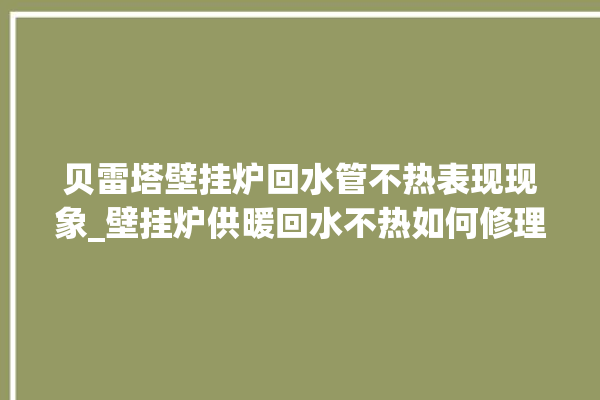 贝雷塔壁挂炉回水管不热表现现象_壁挂炉供暖回水不热如何修理。回水_壁挂炉