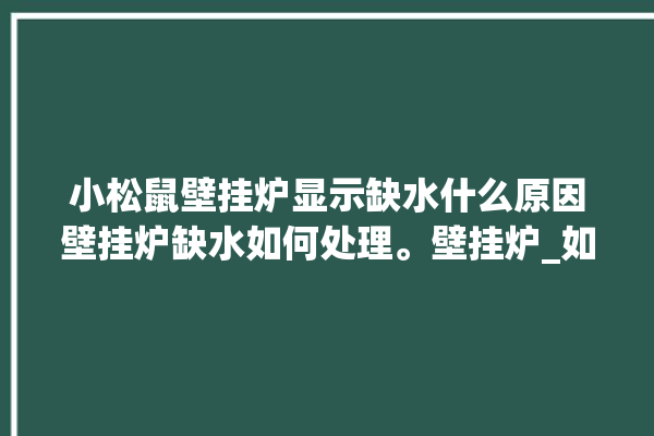 小松鼠壁挂炉显示缺水什么原因壁挂炉缺水如何处理。壁挂炉_如何处理