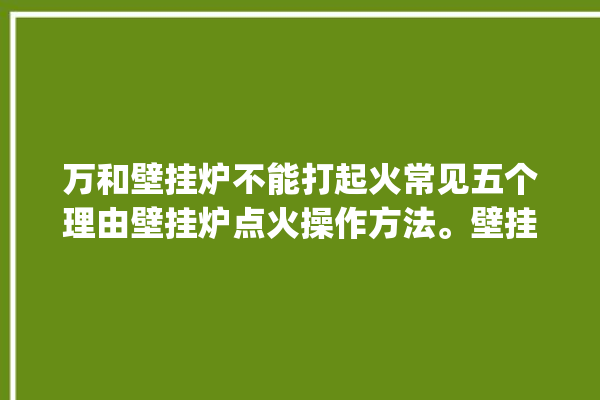 万和壁挂炉不能打起火常见五个理由壁挂炉点火操作方法。壁挂炉_操作方法