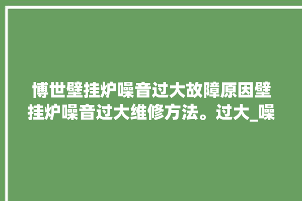 博世壁挂炉噪音过大故障原因壁挂炉噪音过大维修方法。过大_噪音