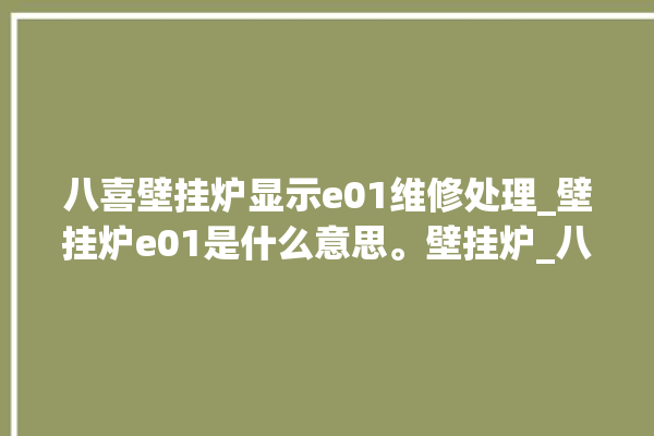 八喜壁挂炉显示e01维修处理_壁挂炉e01是什么意思。壁挂炉_八喜