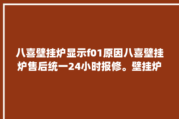 八喜壁挂炉显示f01原因八喜壁挂炉售后统一24小时报修。壁挂炉_八喜