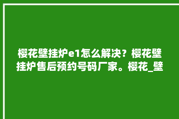 樱花壁挂炉e1怎么解决？樱花壁挂炉售后预约号码厂家。樱花_壁挂炉