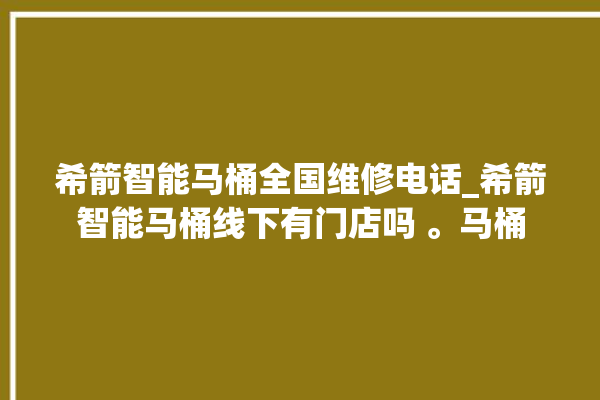 希箭智能马桶全国维修电话_希箭智能马桶线下有门店吗 。马桶