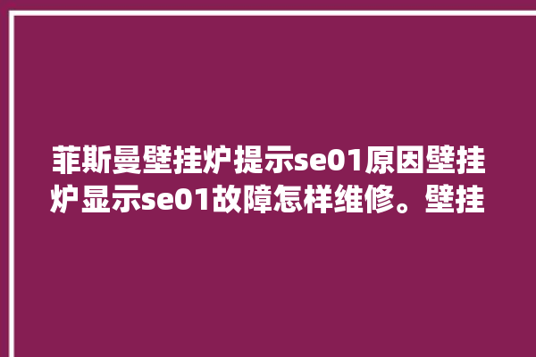 菲斯曼壁挂炉提示se01原因壁挂炉显示se01故障怎样维修。壁挂炉_菲斯