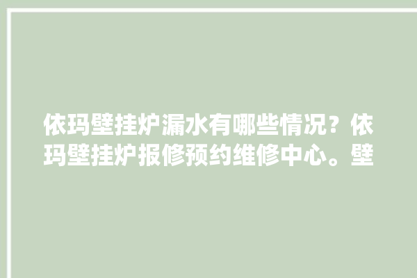 依玛壁挂炉漏水有哪些情况？依玛壁挂炉报修预约维修中心。壁挂炉_维修中心