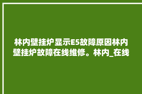 林内壁挂炉显示E5故障原因林内壁挂炉故障在线维修。林内_在线