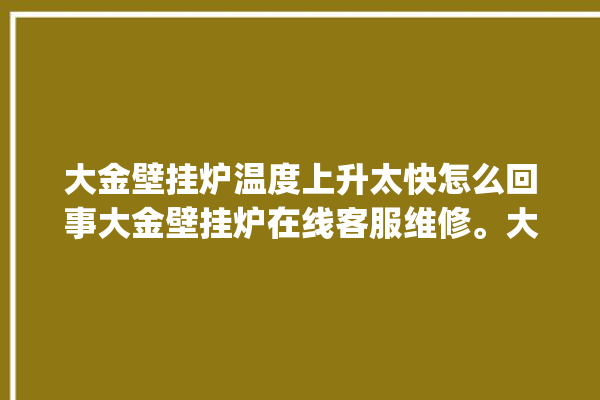 大金壁挂炉温度上升太快怎么回事大金壁挂炉在线客服维修。大金_壁挂炉