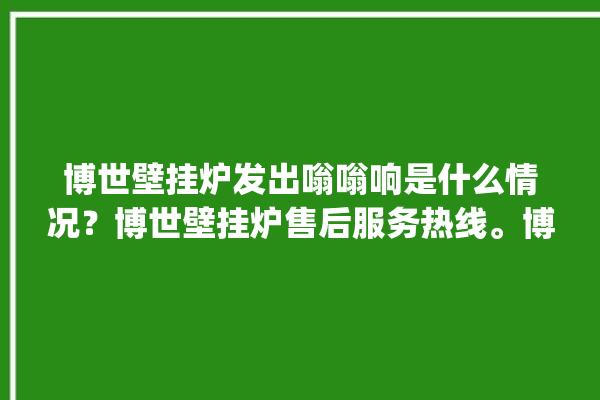 博世壁挂炉发出嗡嗡响是什么情况？博世壁挂炉售后服务热线。博世_壁挂炉