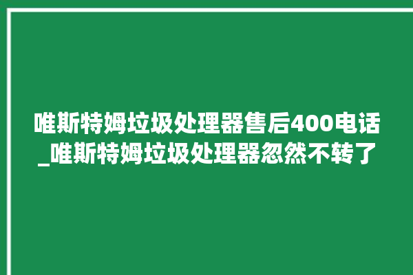 唯斯特姆垃圾处理器售后400电话_唯斯特姆垃圾处理器忽然不转了 。斯特