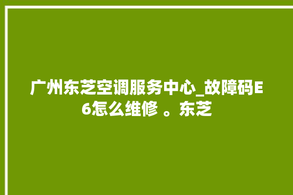 广州东芝空调服务中心_故障码E6怎么维修 。东芝