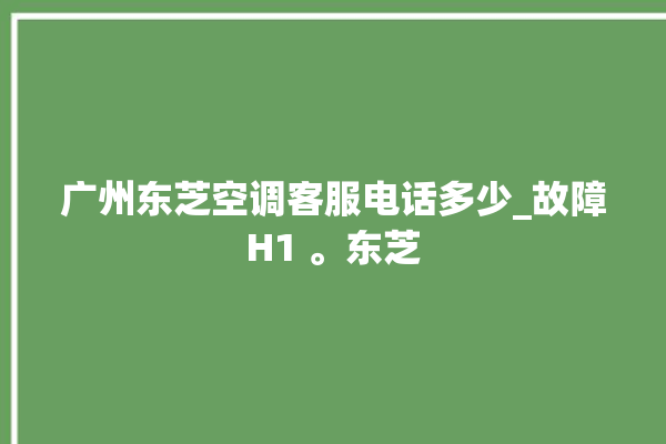 广州东芝空调客服电话多少_故障H1 。东芝