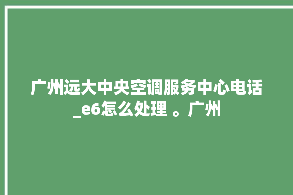 广州远大中央空调服务中心电话_e6怎么处理 。广州