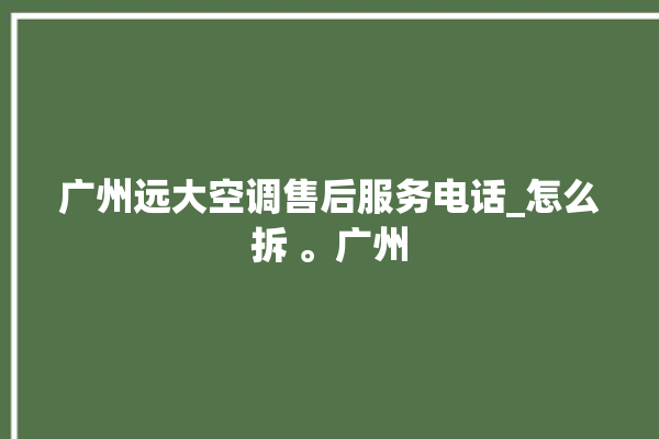 广州远大空调售后服务电话_怎么拆 。广州