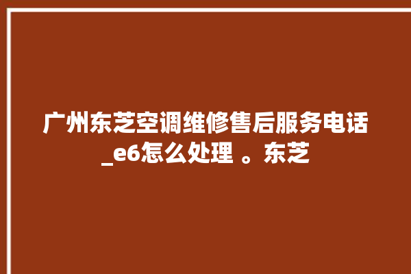 广州东芝空调维修售后服务电话_e6怎么处理 。东芝