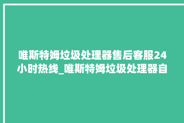 唯斯特姆垃圾处理器售后客服24小时热线_唯斯特姆垃圾处理器自动进水功能 。斯特