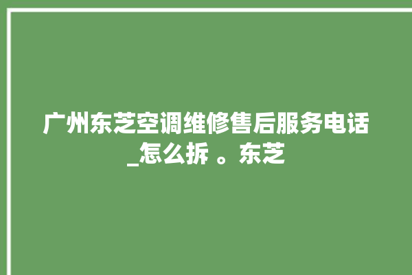 广州东芝空调维修售后服务电话_怎么拆 。东芝