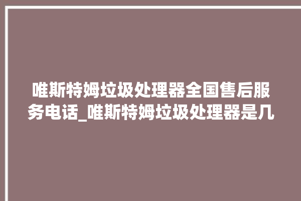 唯斯特姆垃圾处理器全国售后服务电话_唯斯特姆垃圾处理器是几线品牌 。斯特