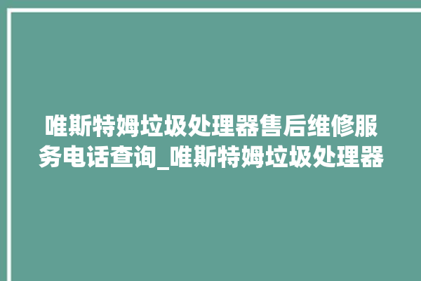 唯斯特姆垃圾处理器售后维修服务电话查询_唯斯特姆垃圾处理器忽然不转了 。斯特