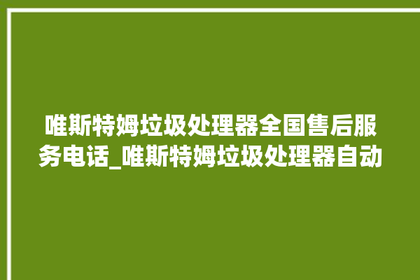 唯斯特姆垃圾处理器全国售后服务电话_唯斯特姆垃圾处理器自动进水功能 。斯特