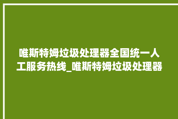 唯斯特姆垃圾处理器全国统一人工服务热线_唯斯特姆垃圾处理器价格是多少钱 。斯特