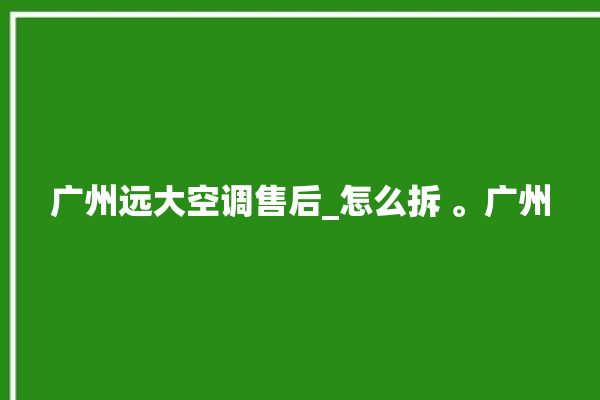 广州远大空调售后_怎么拆 。广州