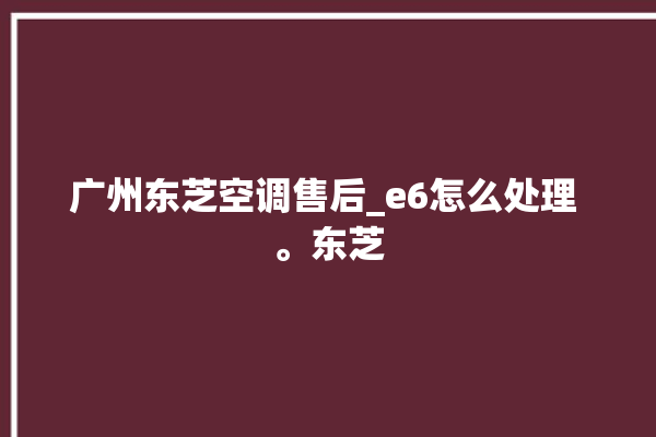 广州东芝空调售后_e6怎么处理 。东芝