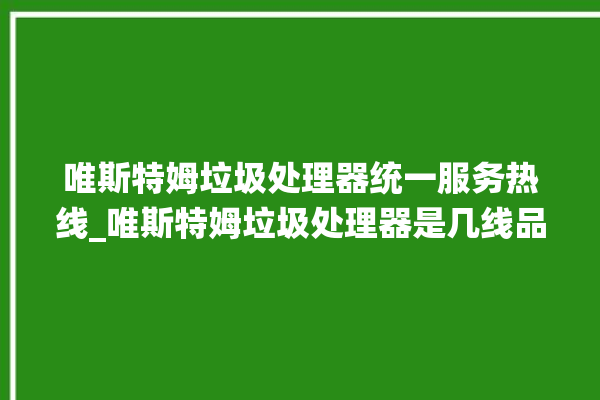 唯斯特姆垃圾处理器统一服务热线_唯斯特姆垃圾处理器是几线品牌 。斯特