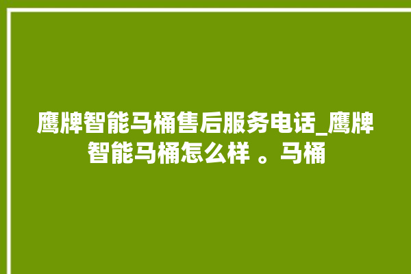 鹰牌智能马桶售后服务电话_鹰牌智能马桶怎么样 。马桶