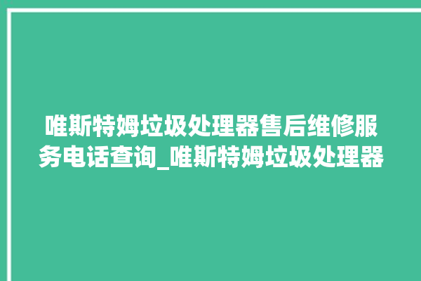 唯斯特姆垃圾处理器售后维修服务电话查询_唯斯特姆垃圾处理器价格是多少钱 。斯特