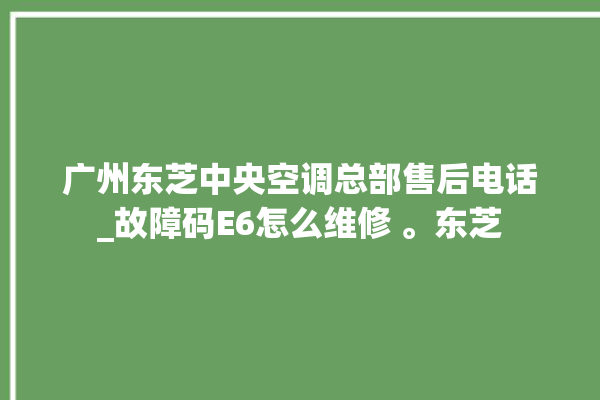 广州东芝中央空调总部售后电话_故障码E6怎么维修 。东芝