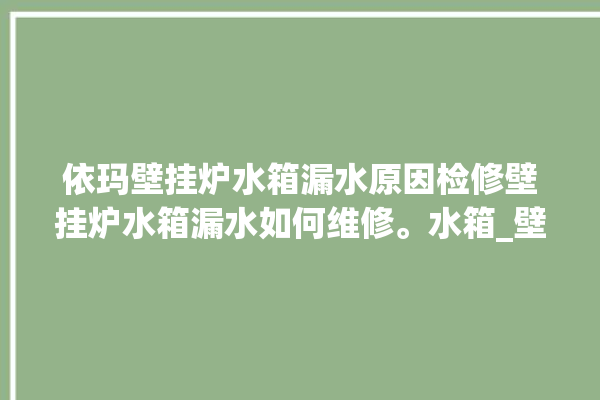 依玛壁挂炉水箱漏水原因检修壁挂炉水箱漏水如何维修。水箱_壁挂炉