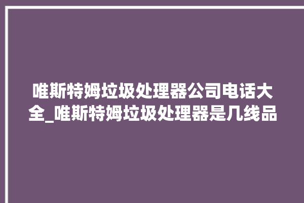 唯斯特姆垃圾处理器公司电话大全_唯斯特姆垃圾处理器是几线品牌 。斯特