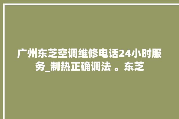 广州东芝空调维修电话24小时服务_制热正确调法 。东芝