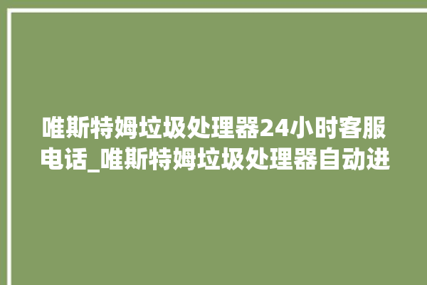 唯斯特姆垃圾处理器24小时客服电话_唯斯特姆垃圾处理器自动进水功能 。斯特