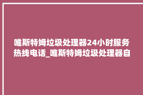 唯斯特姆垃圾处理器24小时服务热线电话_唯斯特姆垃圾处理器自动进水功能 。斯特